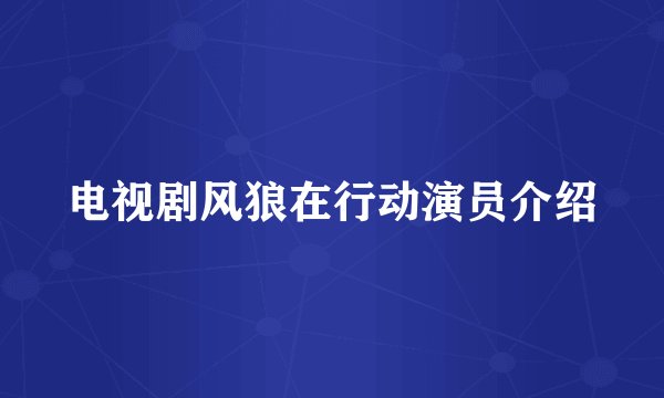 电视剧风狼在行动演员介绍