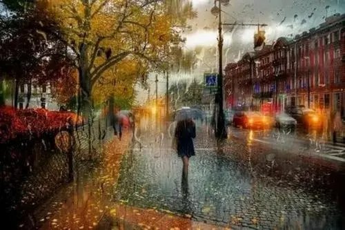 你在我心里下了一场雨什么意思