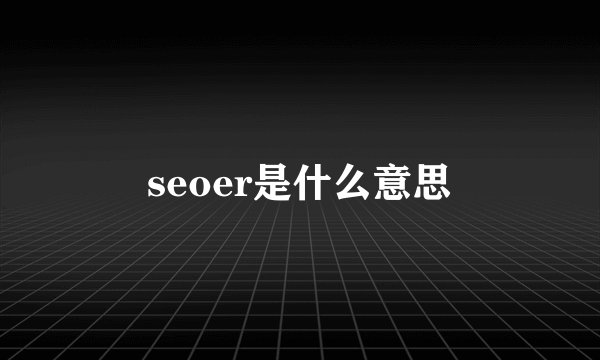 seoer是什么意思