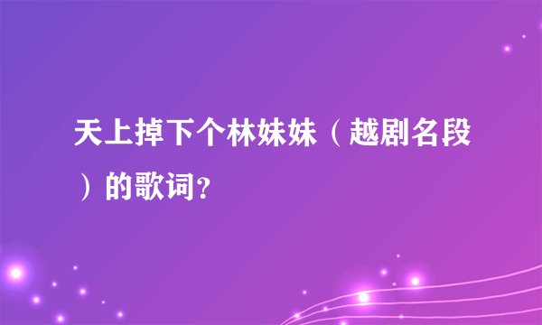 天上掉下个林妹妹（越剧名段）的歌词？