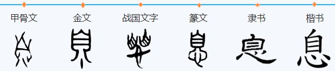 息是什么意思?