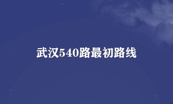 武汉540路最初路线