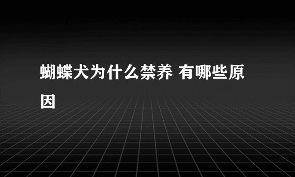 蝴蝶犬为什么禁养 有哪些原因