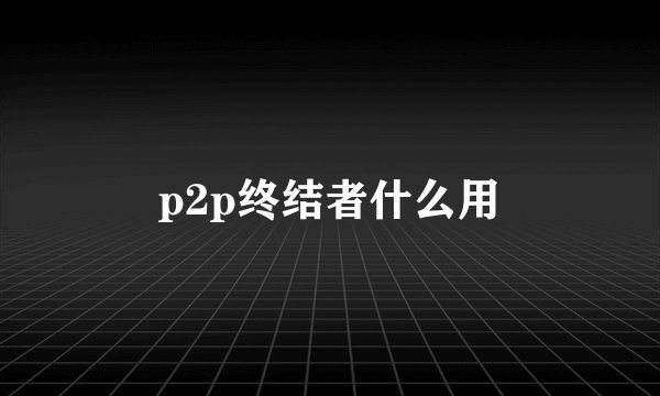 p2p终结者什么用