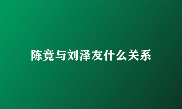 陈竞与刘泽友什么关系