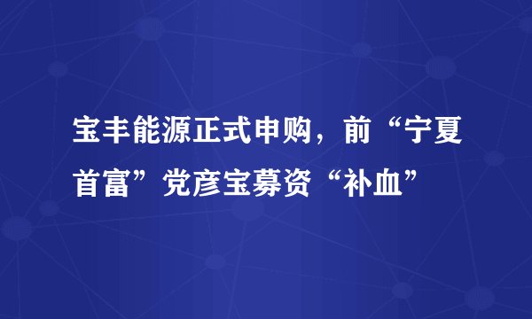 宝丰能源正式申购，前“宁夏首富”党彦宝募资“补血”