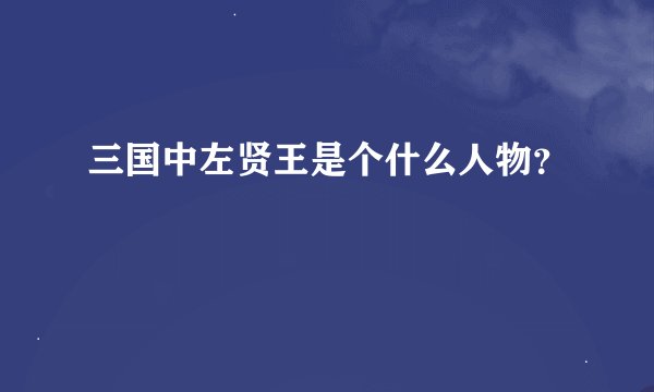 三国中左贤王是个什么人物？