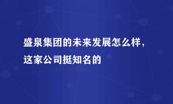 盛泉集团的未来发展怎么样，这家公司挺知名的