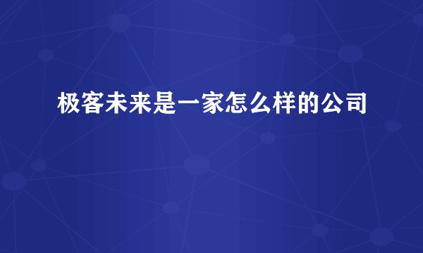 极客未来是一家怎么样的公司