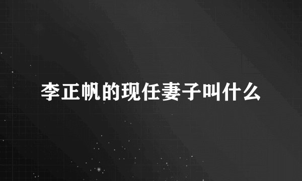 李正帆的现任妻子叫什么