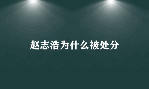 赵志浩为什么被处分