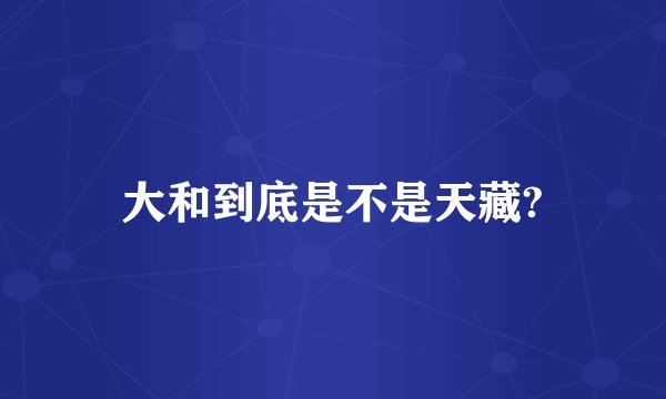 大和到底是不是天藏?