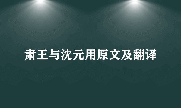 肃王与沈元用原文及翻译