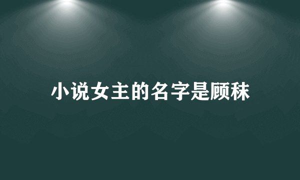 小说女主的名字是顾秣