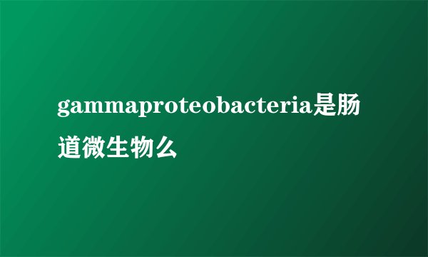 gammaproteobacteria是肠道微生物么
