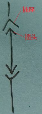电气设计图这个符号是什么意思?
