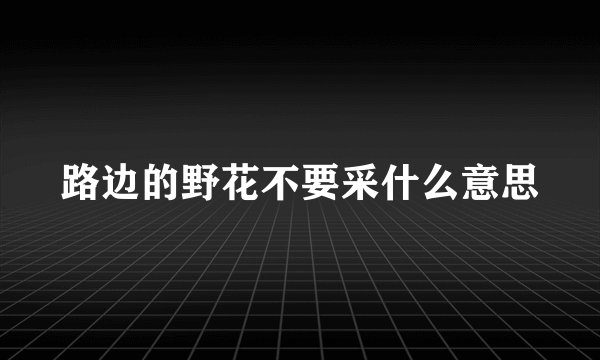 路边的野花不要采什么意思