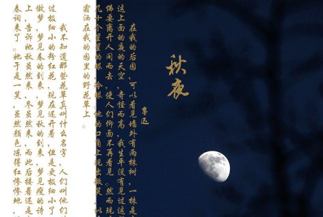 鲁迅《秋夜》全文