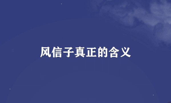 风信子真正的含义