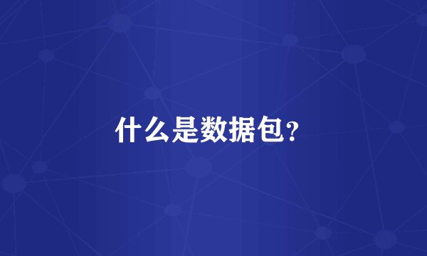 什么是数据包?