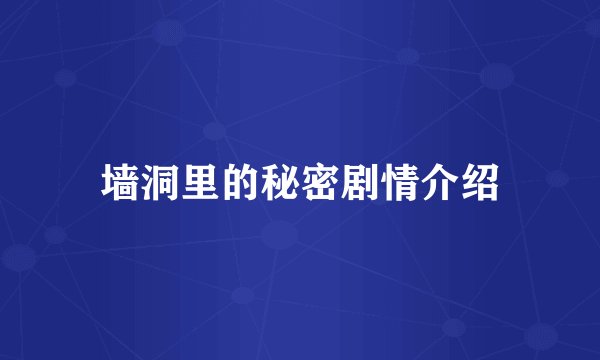 墙洞里的秘密剧情介绍