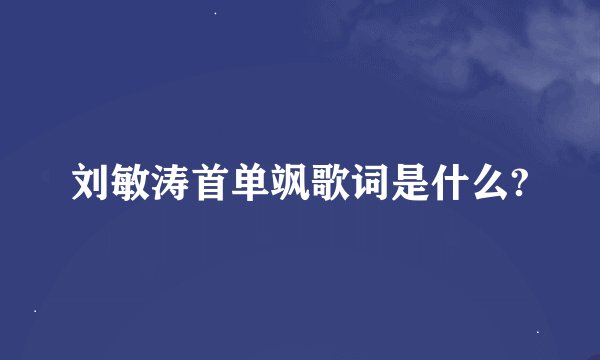 刘敏涛首单飒歌词是什么?