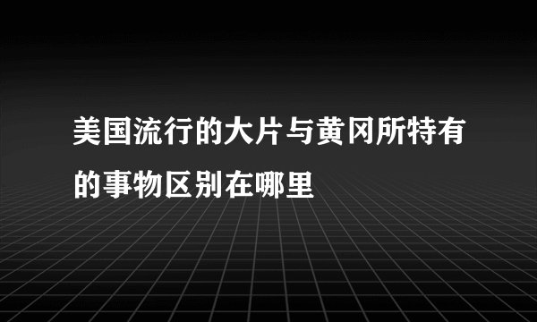 美国流行的大片与黄冈所特有的事物区别在哪里
