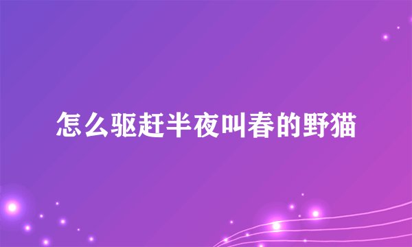 怎么驱赶半夜叫春的野猫
