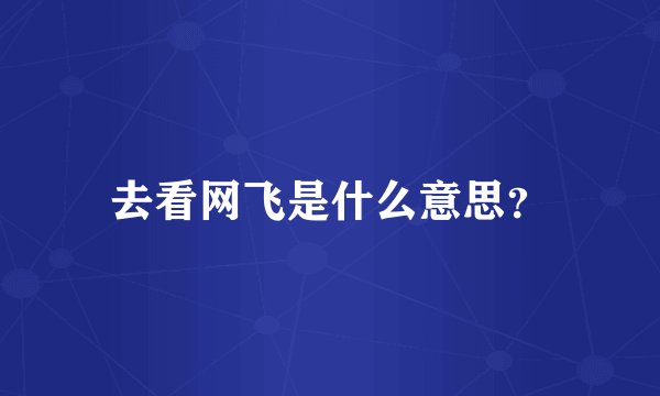 去看网飞是什么意思？