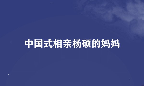 中国式相亲杨硕的妈妈