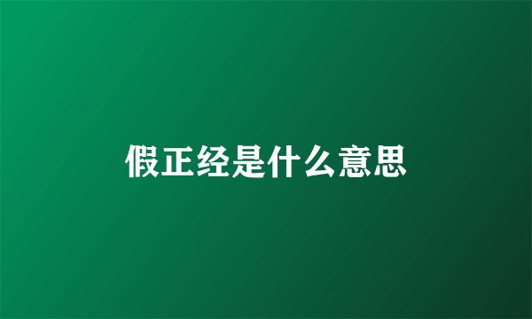 假正经是什么意思