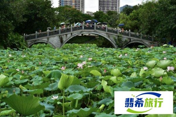 深圳十大适合端午旅游的地方