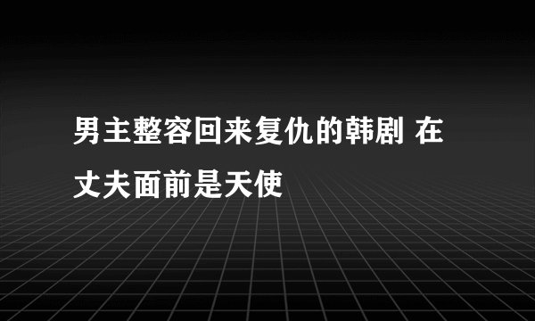 男主整容回来复仇的韩剧 在丈夫面前是天使