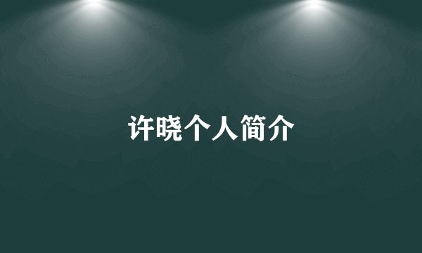 许晓个人简介
