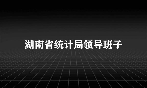 湖南省统计局领导班子