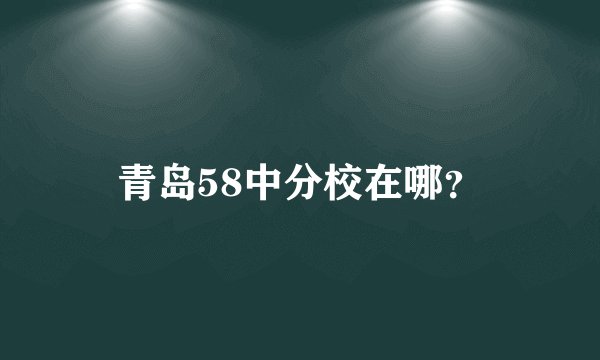 青岛58中分校在哪？