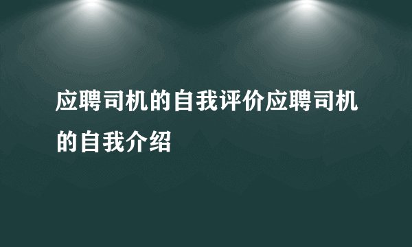 应聘司机的自我评价应聘司机的自我介绍