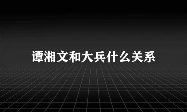 谭湘文和大兵什么关系