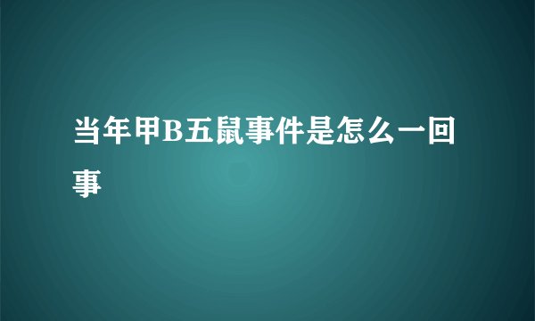 当年甲B五鼠事件是怎么一回事