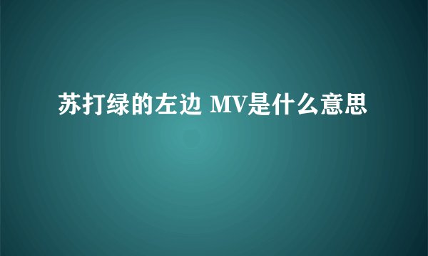 苏打绿的左边 MV是什么意思