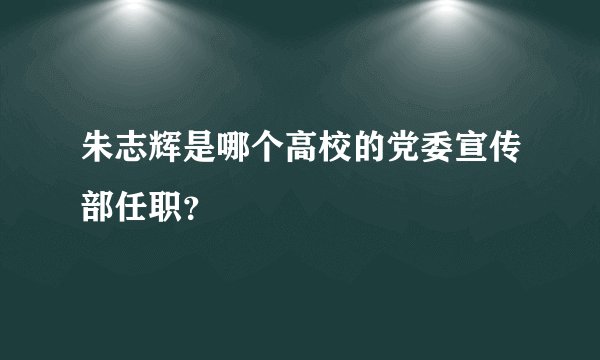 朱志辉是哪个高校的党委宣传部任职？
