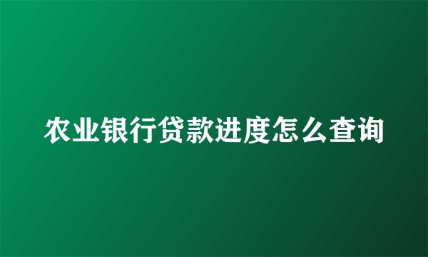 农业银行贷款进度怎么查询