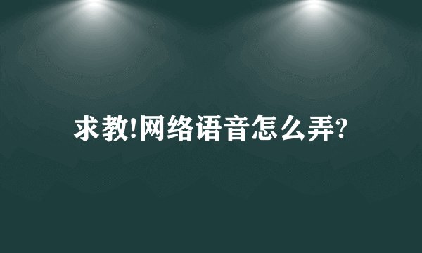 求教!网络语音怎么弄?