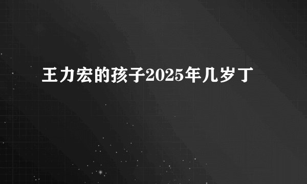 王力宏的孩子2025年几岁丁