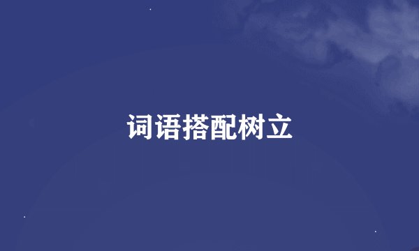 词语搭配树立