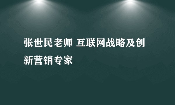 张世民老师 互联网战略及创新营销专家