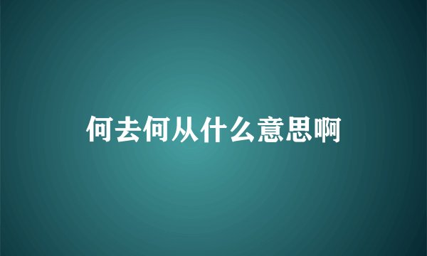 何去何从什么意思啊