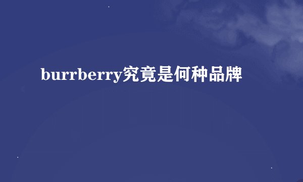 burrberry究竟是何种品牌