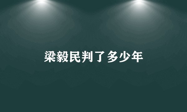 梁毅民判了多少年