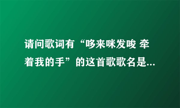 请问歌词有“哆来咪发唆 牵着我的手”的这首歌歌名是什么？谢谢啦~~